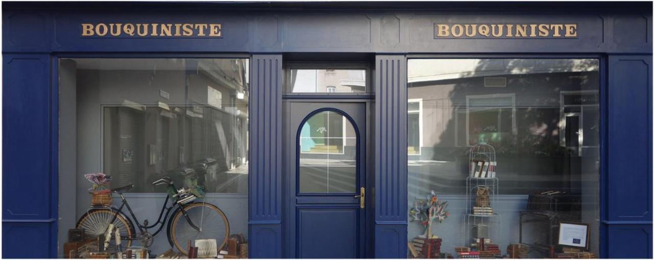 Le Bouquiniste, Centre Historique, Fibre, Ess, Rez-De-Chaussee, Bedinshop Romans-sur-Isère Eksteriør bilde