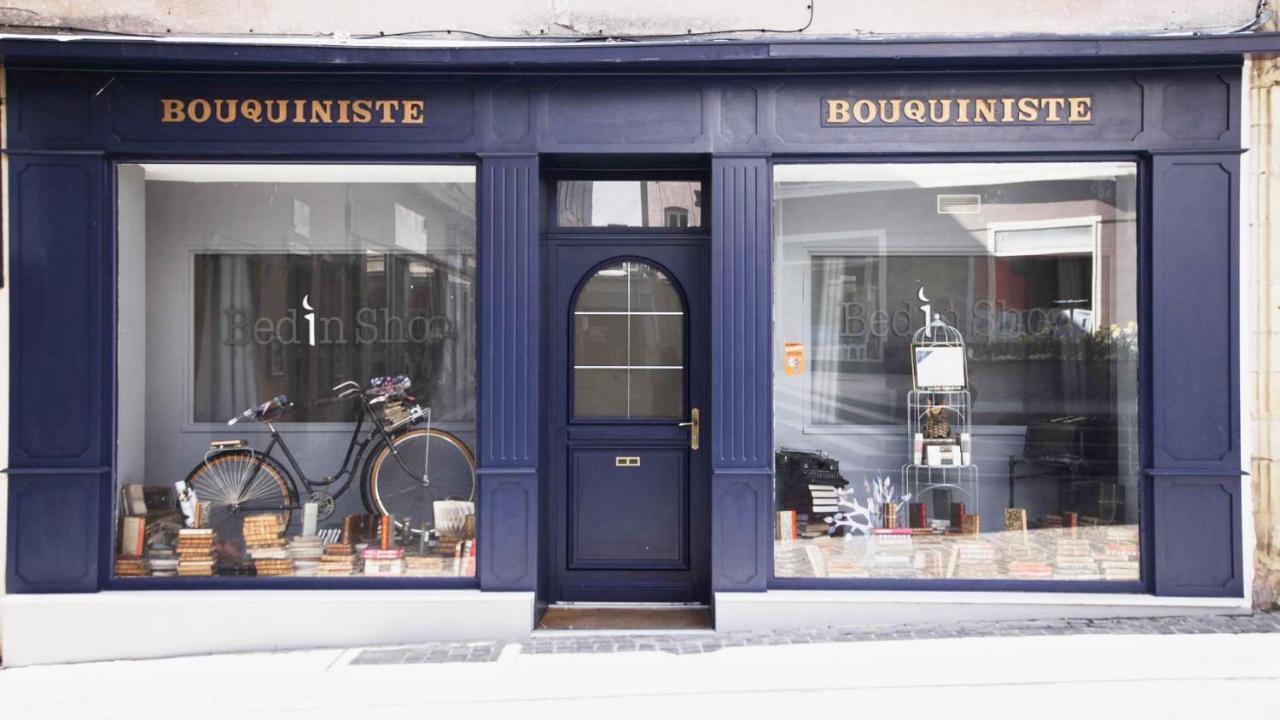Le Bouquiniste, Centre Historique, Fibre, Ess, Rez-De-Chaussee, Bedinshop Romans-sur-Isère Eksteriør bilde