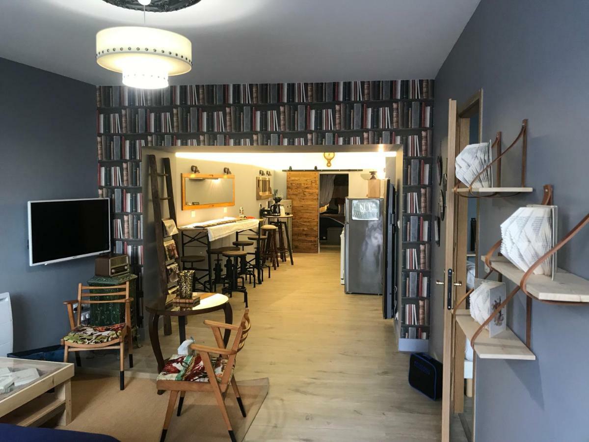 Le Bouquiniste, Centre Historique, Fibre, Ess, Rez-De-Chaussee, Bedinshop Romans-sur-Isère Eksteriør bilde