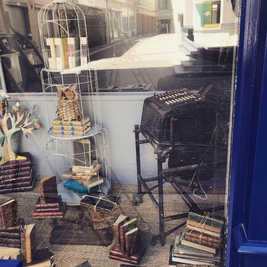 Le Bouquiniste, Centre Historique, Fibre, Ess, Rez-De-Chaussee, Bedinshop Romans-sur-Isère Eksteriør bilde